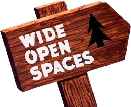 Wide Open Spaces