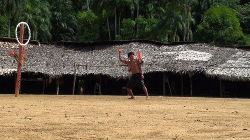 Urihi Haromatipë — Curadores da Terra-Floresta