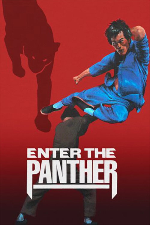 Enter the Panther poster