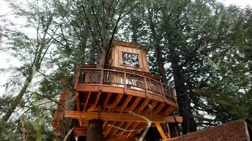 Poster della serie Treehouse Masters