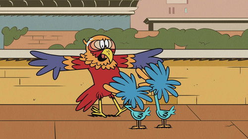 Image de l'épisode 10