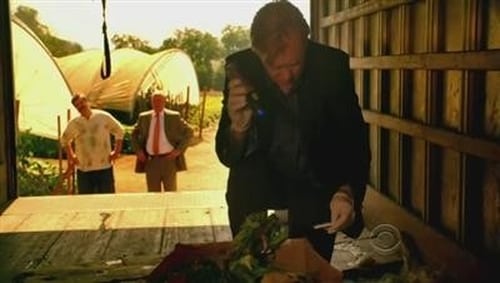 CSI: Miami: 8×5