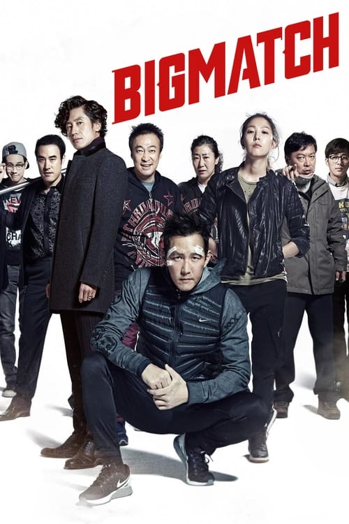 Poster 빅매치 2014