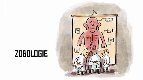 Image Zobologie