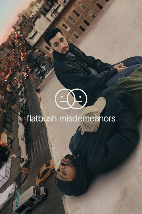 Flatbush Misdemeanors poster