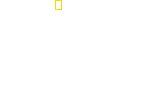 Drugs, Inc.