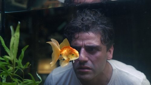 Le Problème du poisson rouge