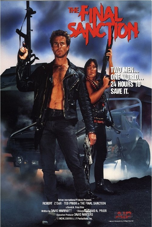 The Final Sanction (1990)