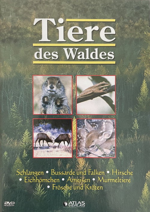 Tiere des Waldes