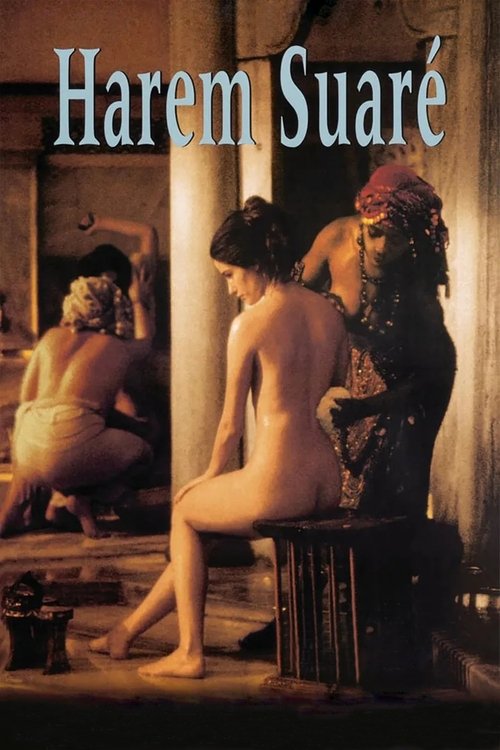 Last Harem poster
