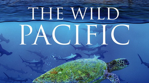 The Wild Pacific: The Beauty Of Life