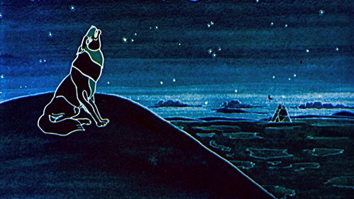 The Legend of the Black Wolf