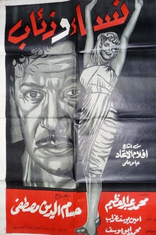 نساء وذئاب poster