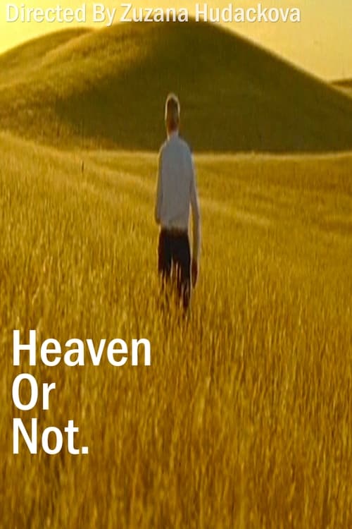 Heaven Or Not (2007)