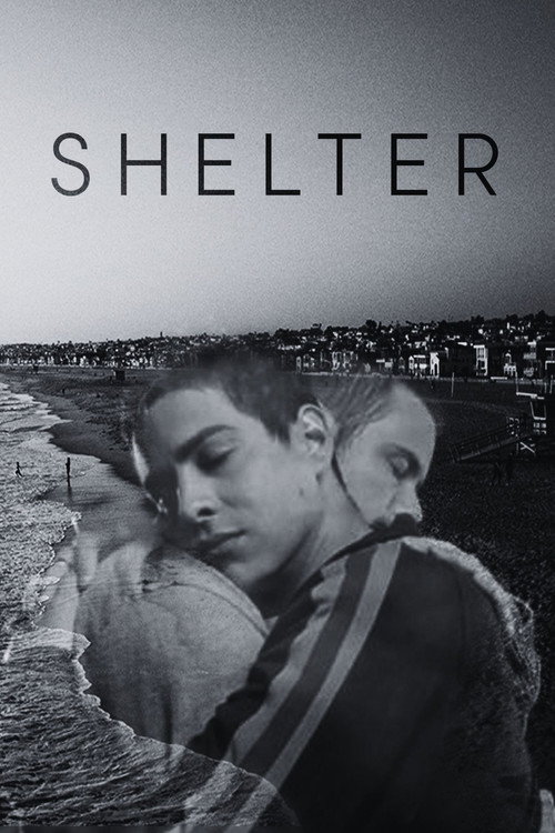 Shelter poster
