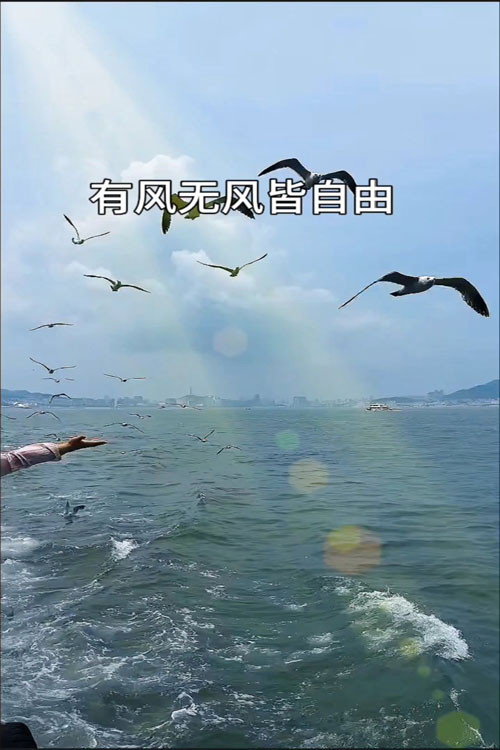 自然世界：驭风而归