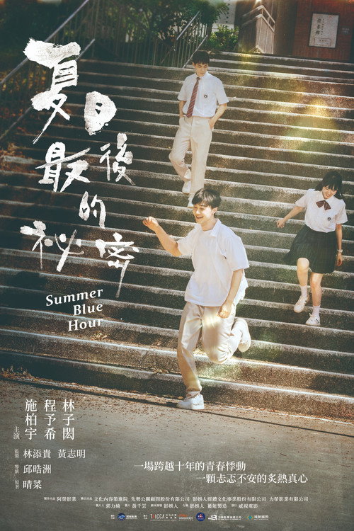 Summer Blue Hour poster