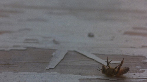 Candyman: Farewell to the Flesh