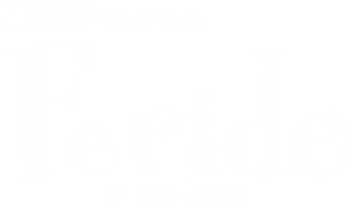 Feride vs. the World's logo image