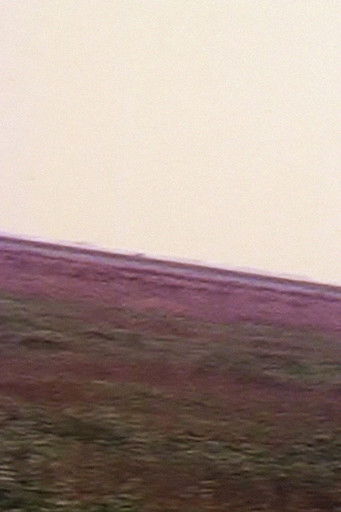 Dutch Mountain poster