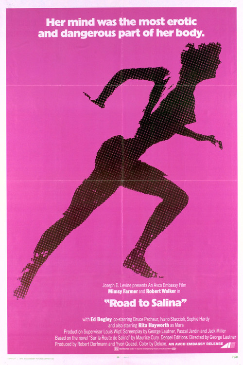 Road to Salina poster