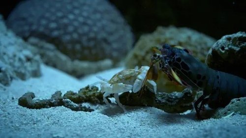 Image de l'épisode 4
