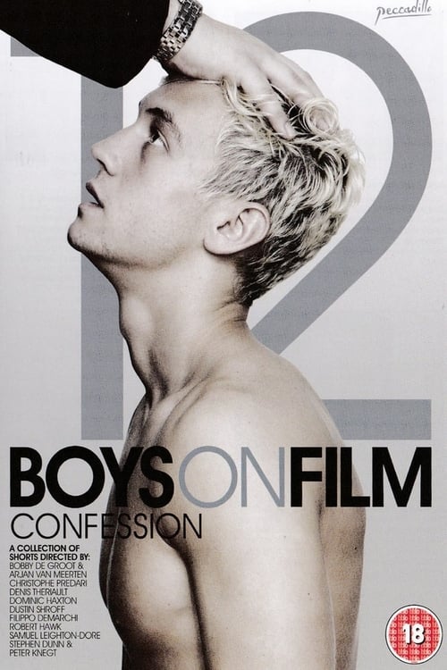 Boys On Film 12: Confession Movie Poster Image