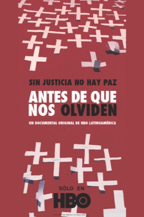 Antes de que nos olviden movie poster player