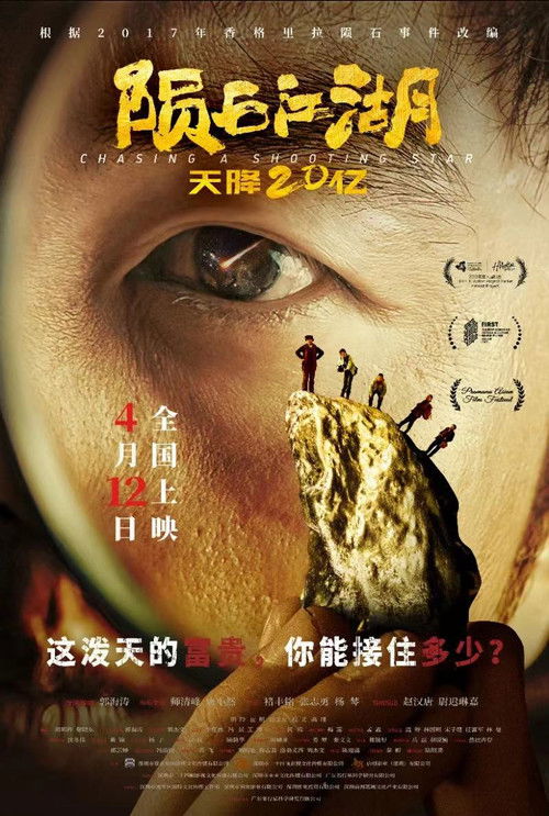 Chasing A Shooting Star poster