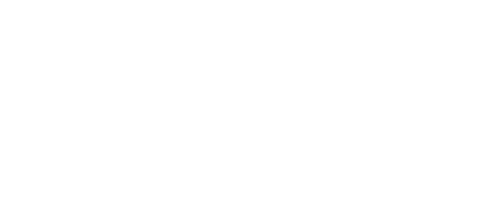 The Substitute