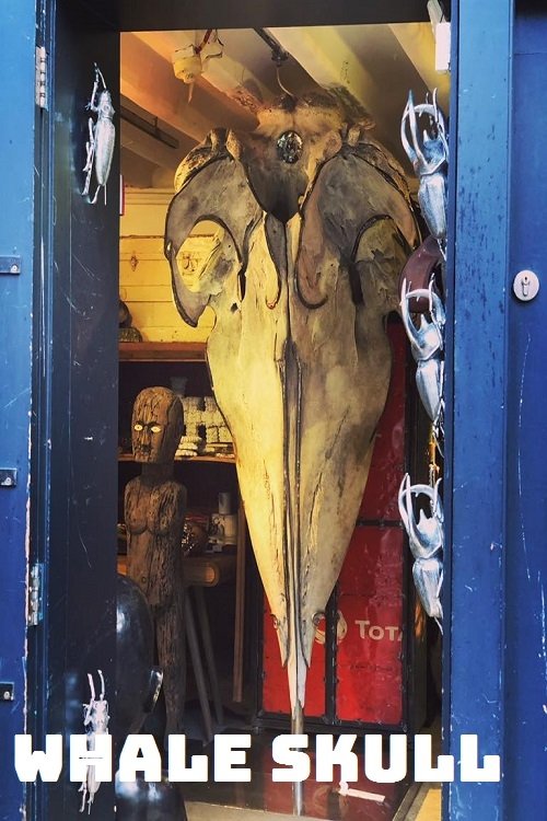Whale Skull movie poster player