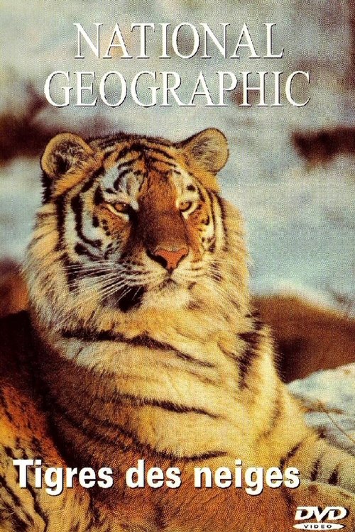 Tigers of the Snow movie poster player