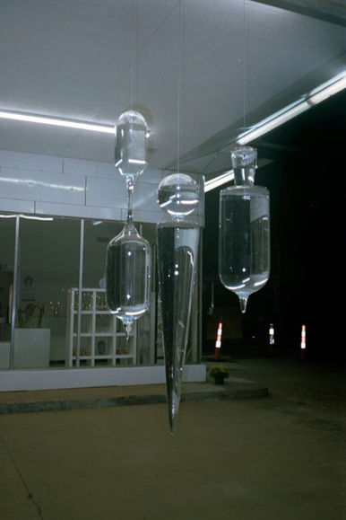 The Glass Evangelist