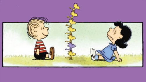 Peanuts Lucy & Friends — Fondos 1