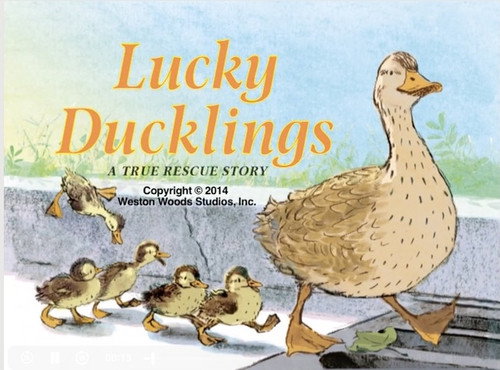 Lucky Ducklings