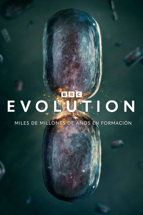 Evolution