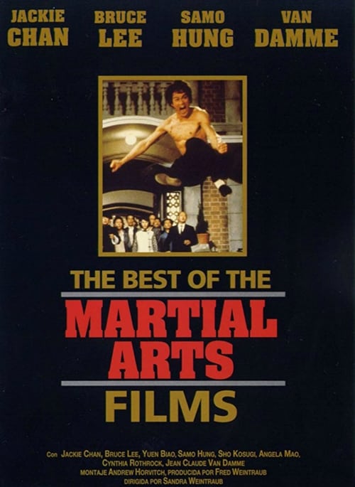 Lo mejor de las artes marciales 1990