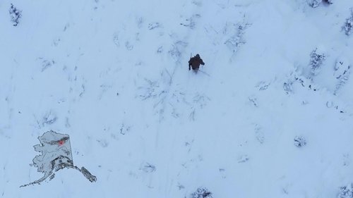 Poster della serie Life Below Zero