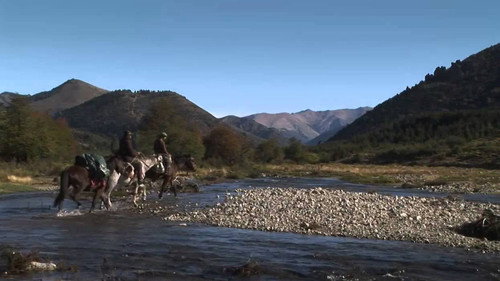 Buscando al huemul still
