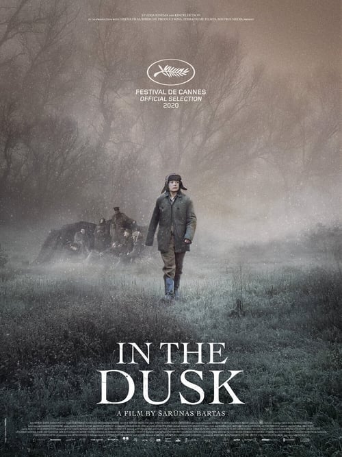 In the Dusk (2019)