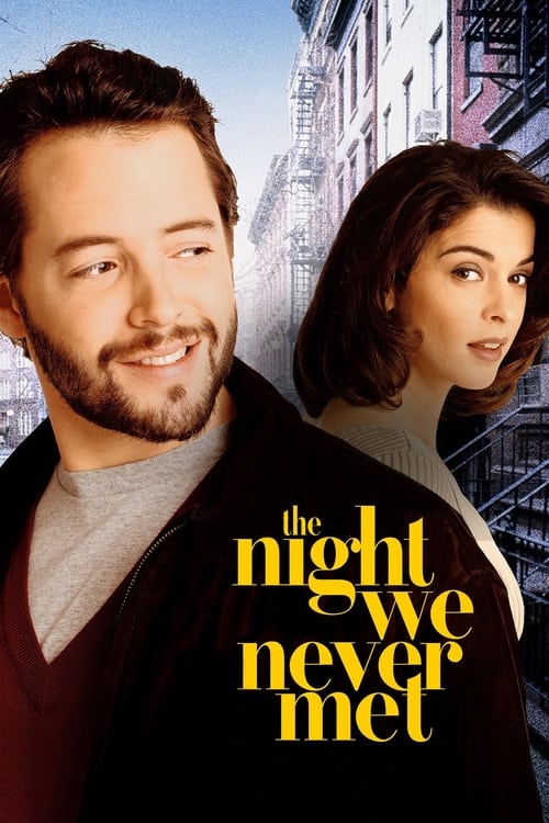 The Night We Never Met Movie Poster Image