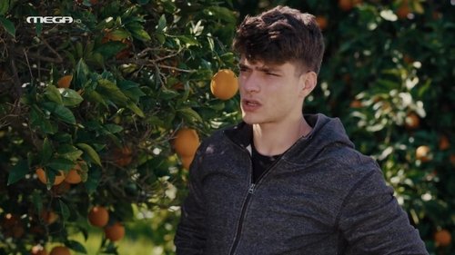 Épisode 128