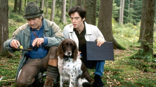 Image de l'épisode 11