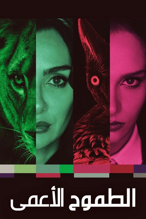 الطموح الأعمى - Poster