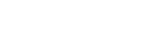 The Dealer
