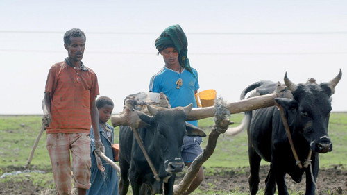 Das Stadt-Experiment: Eine Zukunft für Äthiopiens Bauern