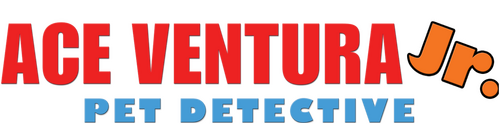 Ace Ventura Jr: Pet Detective