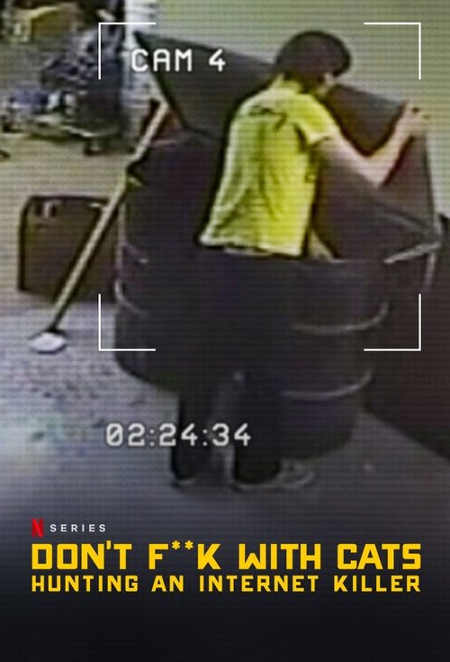 Escena 6 de A los gatos ni tocarlos: Un asesino en Internet
