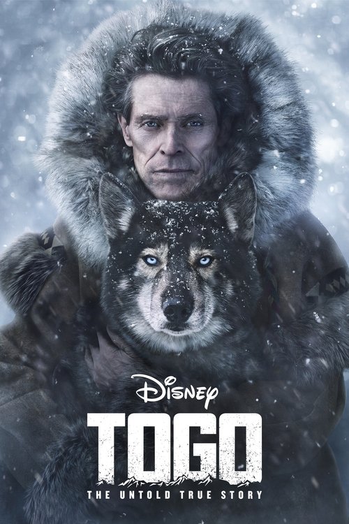 Togo movie poster player