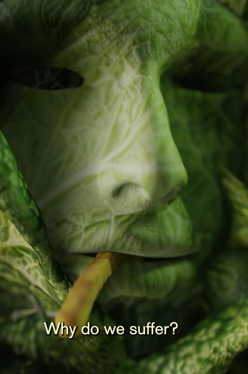 You are Light and Cabbage